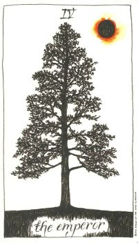 The Emperor - The Wild Unknown by Kim Krans