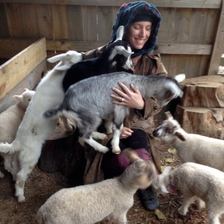 Psychic Sarah & Baby Goats 1