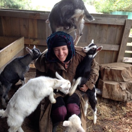 Psychic Sarah & Baby Goats 2
