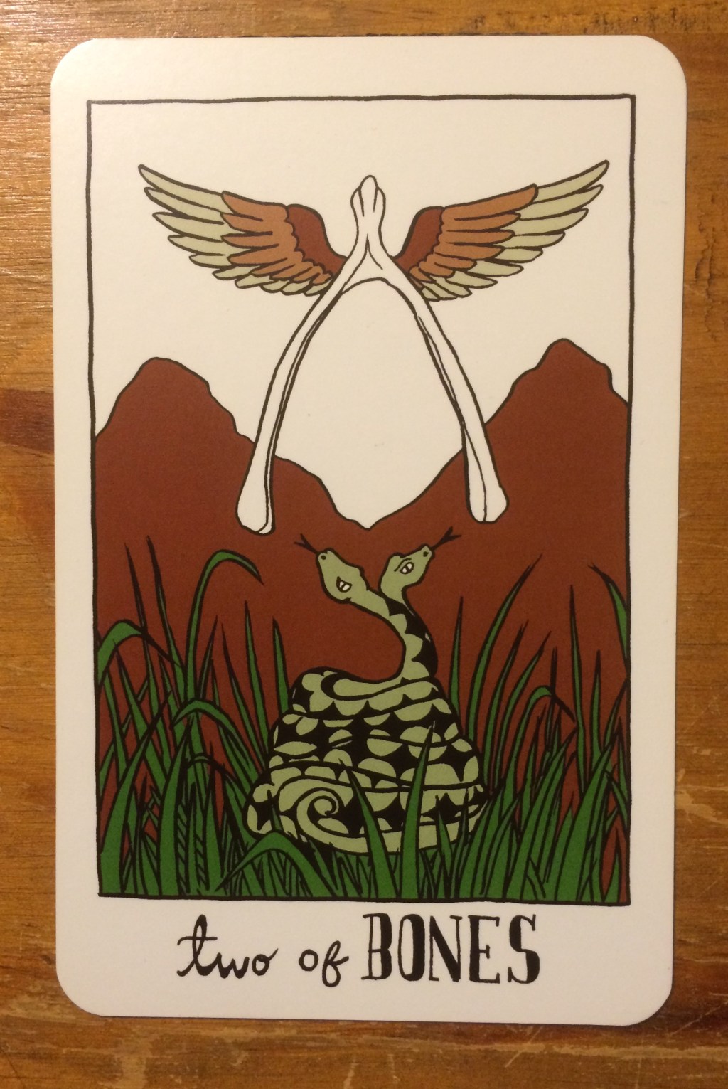 A Tarot Reading for the Collective for my Queer Community, post&nbsp;Orlando