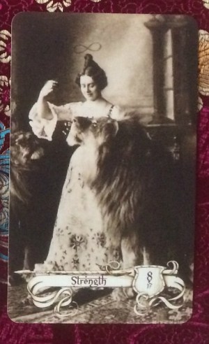 strength-the-relative-tarot-by-carrie-paris