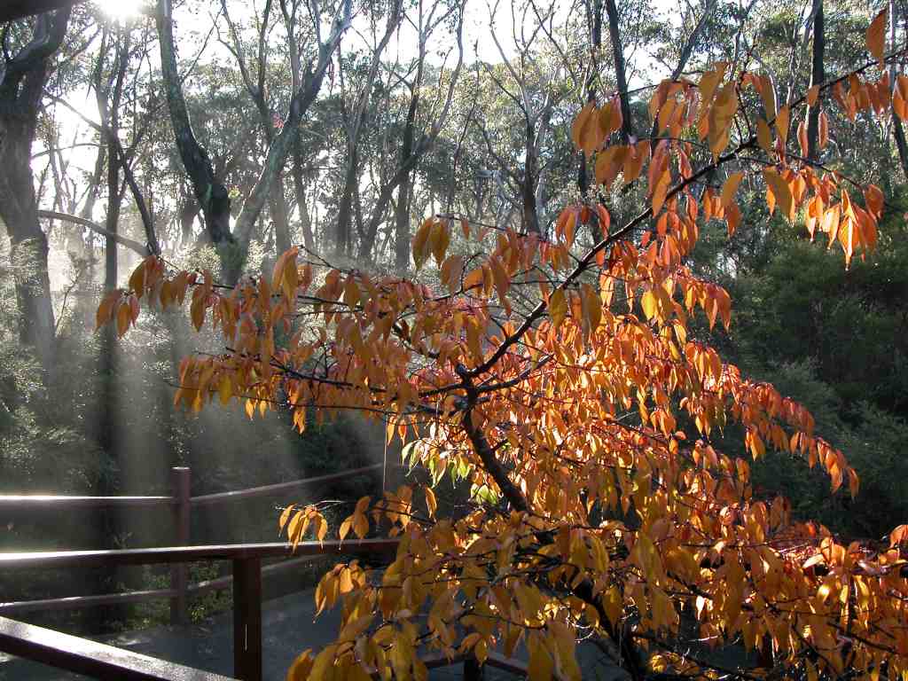 I am away at a meditation retreat until June 8,&nbsp;2018